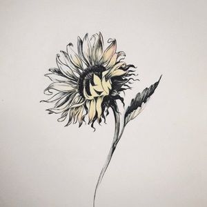 Meet your Posher, Jocelyn